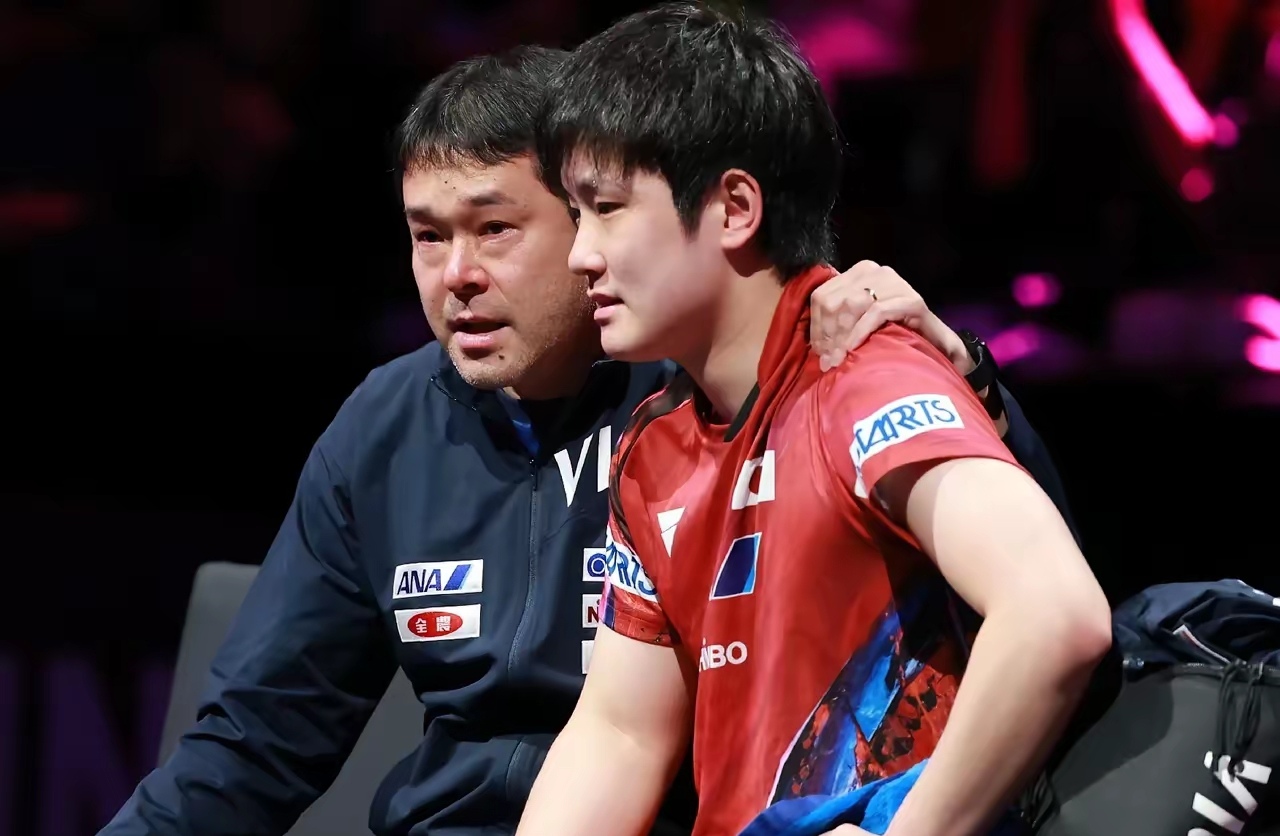 瑞典队横扫波兰队，张本智和惊艳四座