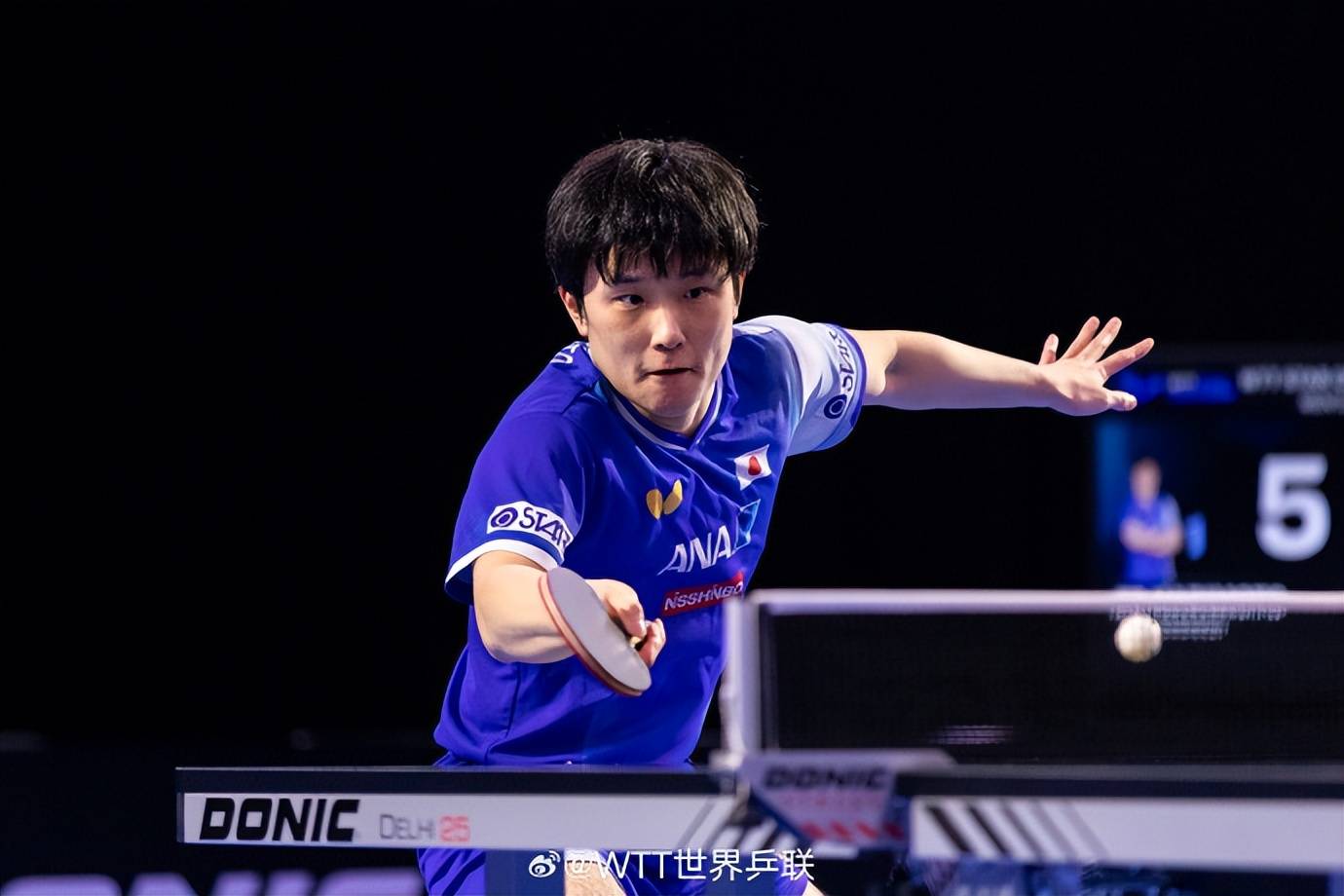 葡萄牙队逆转波兰队,张本智和统治全场 葡萄牙队逆转波兰队,张本智和统治全场