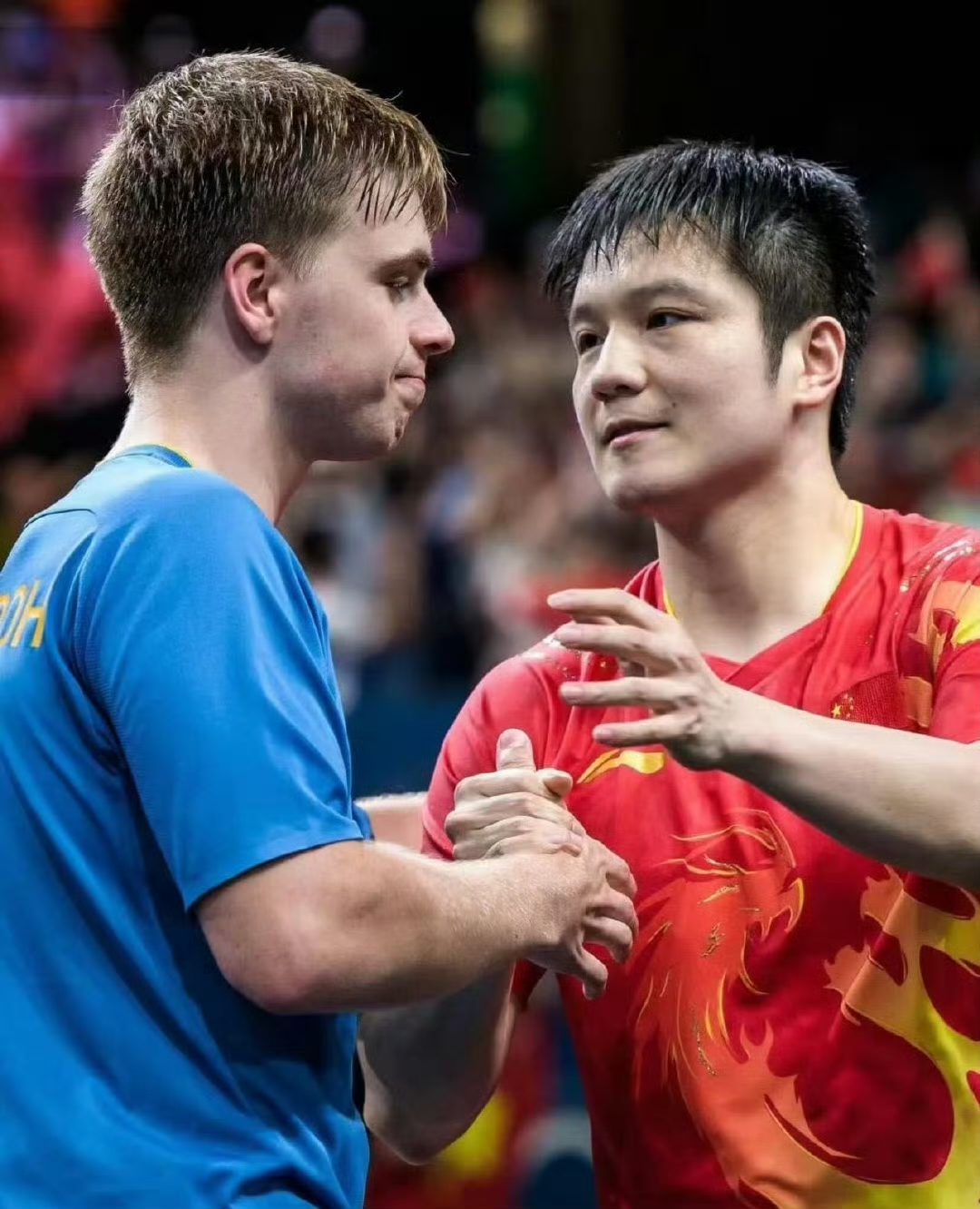 英格兰队碾压葡萄牙队,樊振东惊艳四座 英格兰队碾压葡萄牙队,樊振东惊艳四座