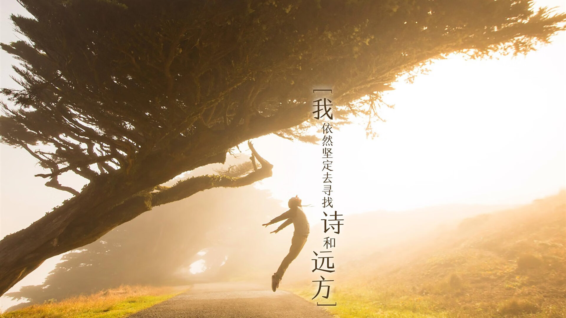 从突尼斯掀翻里昂到英超争冠,本泽马的跨时空足球叙事