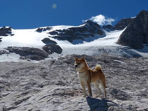从潘帕斯风暴到巴黎王座,当梅西的传承遇见姆巴佩的加冕