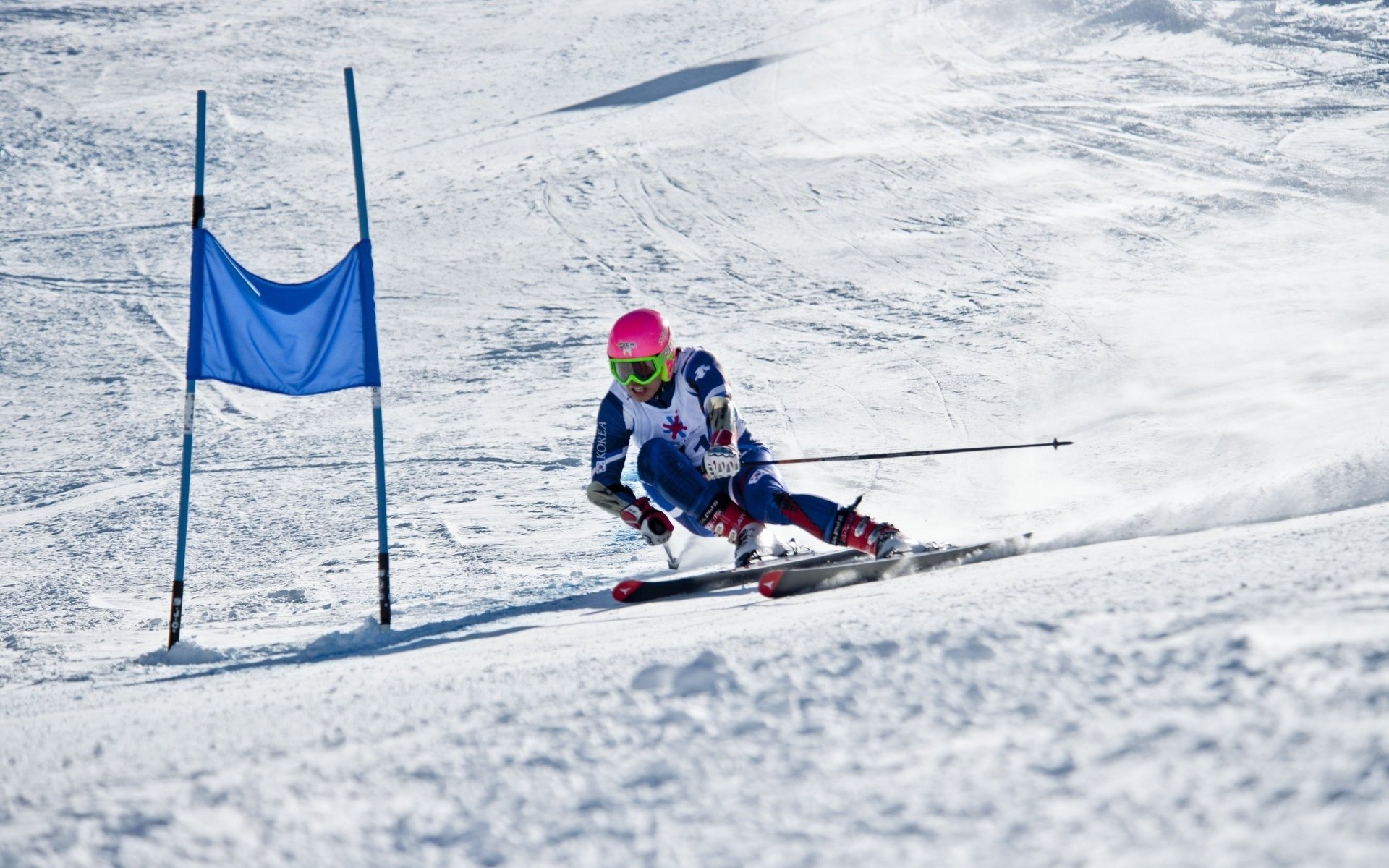 2026世界杯F组生死战,桑巴复仇尼日利亚,莱万孤胆难救主